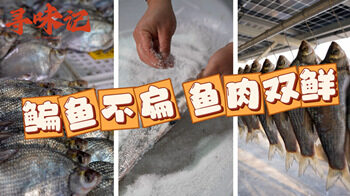 寻味记｜“扁鱼不扁，鱼肉双鲜”用一道“封扁鱼”呼唤远方的游