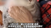 研究发现养宠物能控血压，猫猫狗狗再次立大功！